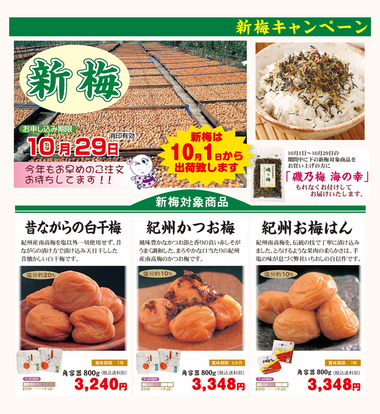 291円 おすすめ特集 小分けパック 特選紀州南高梅 白干梅 250g 梅干し うめぼし